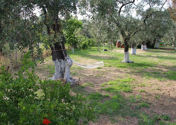 Patroudis House * Σκάλα Ραχωνίου