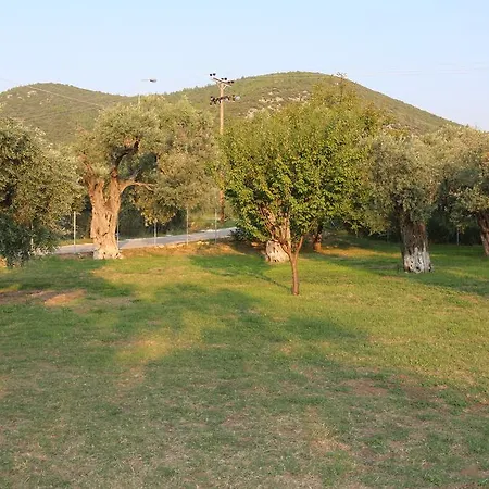 Patroudis House アパート